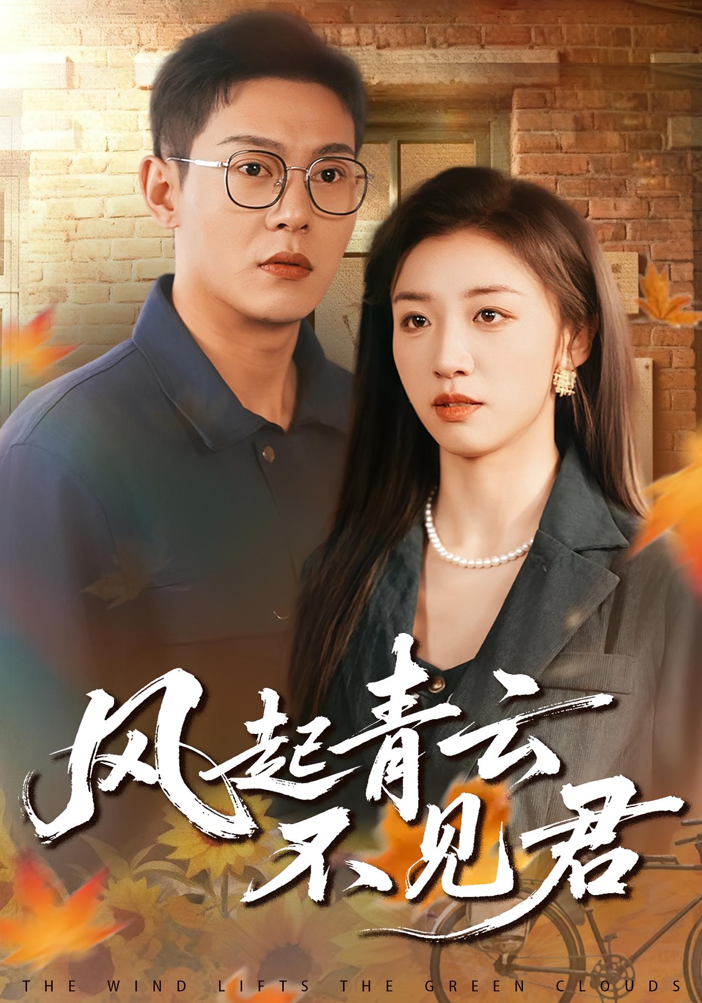 风起青云不见君 打脸虐渣·剧情·全60集 钱谦&朱钰&尚晨辉