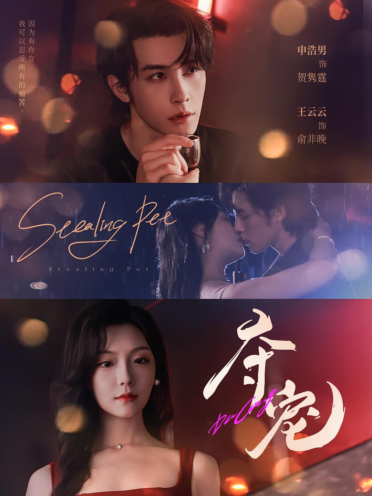 夺宠 都市情感·都市·全88集 王云云&申浩男&张海文