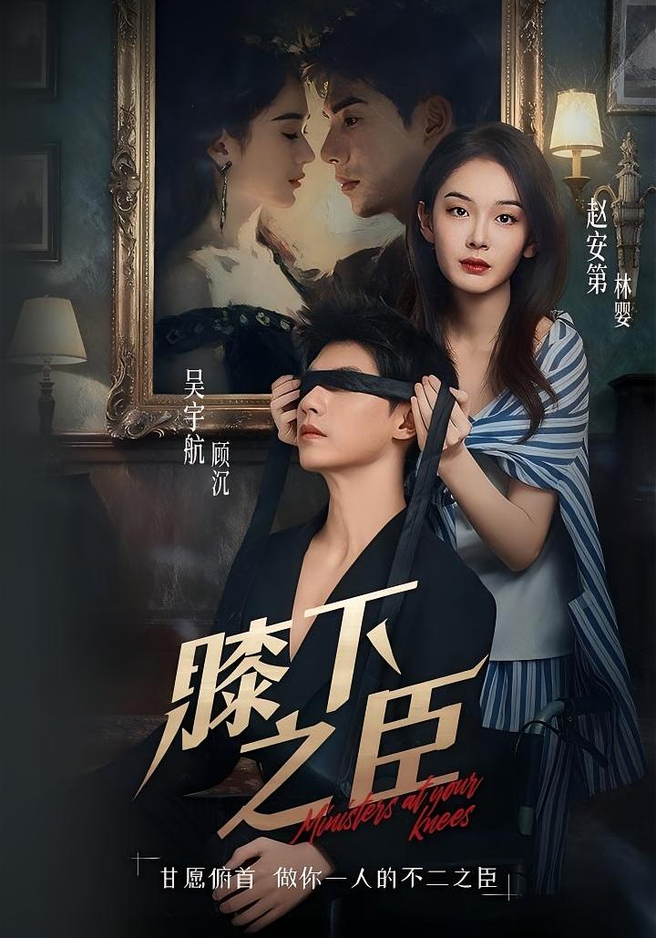 膝下之臣 都市情感·天才·全56集 吴宇航&李芷彤&王偲偲