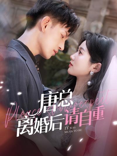 唐总离婚后请自重封面图