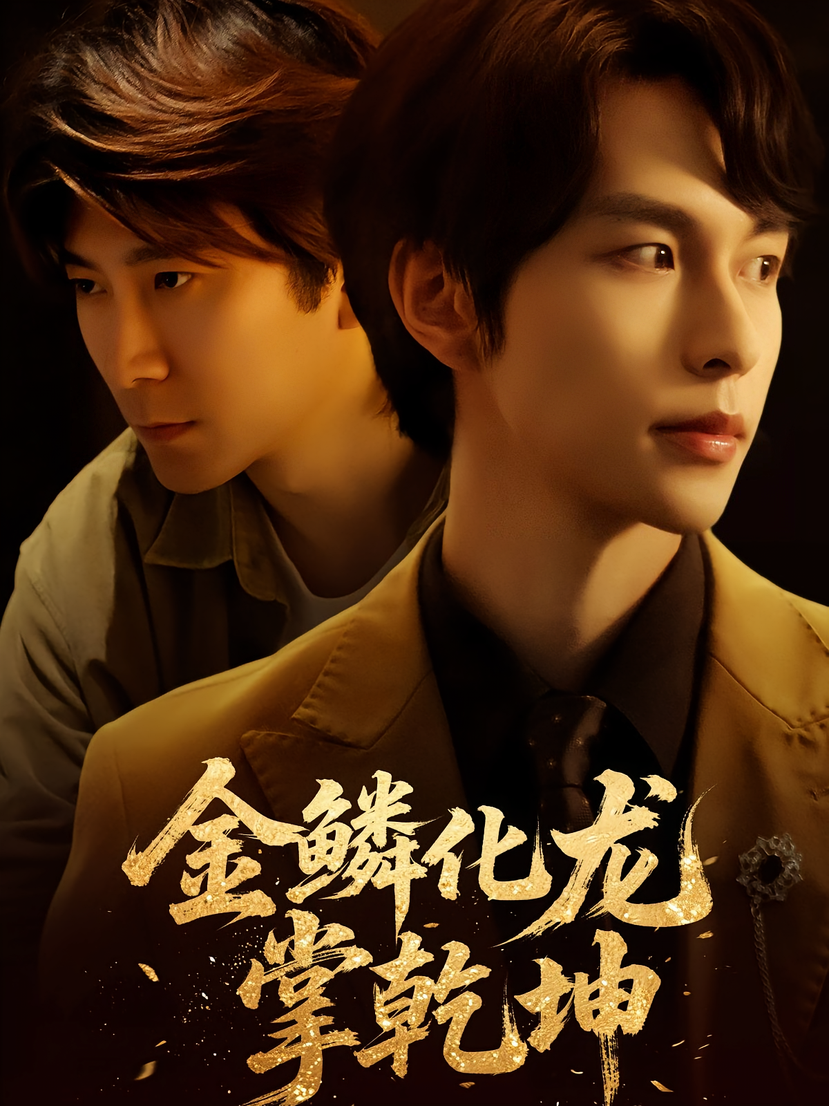 金鳞化龙掌乾坤 家庭伦理·亲情·全54集 李红雨&辛宜洋&天儿