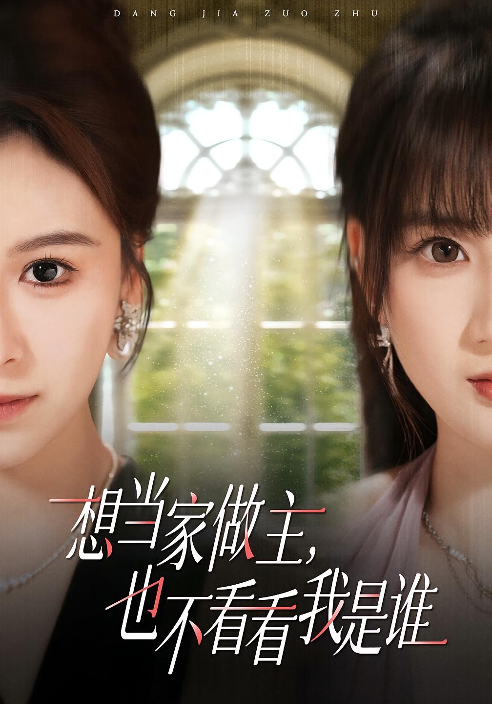 想当家做主，也不看看我是谁 女性成长·都市·全40集 夏天琪&唐阳&陈英