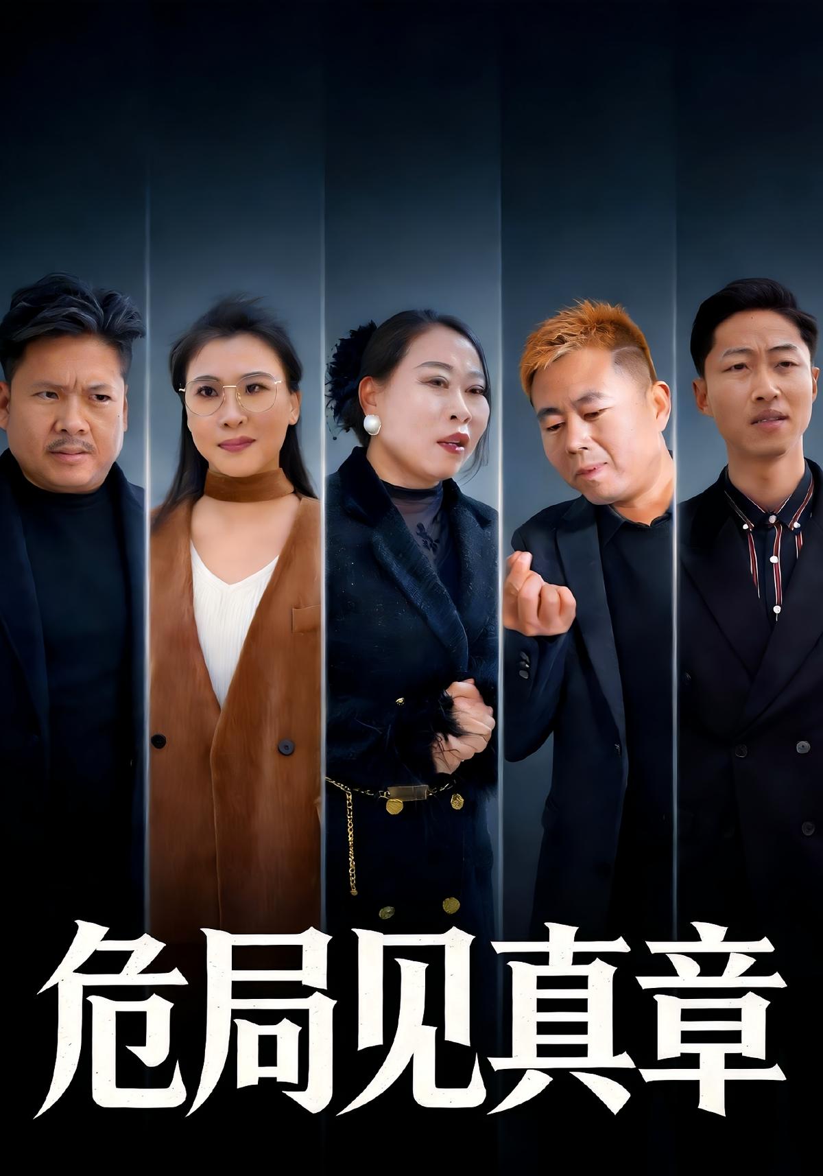 危局见真章封面图