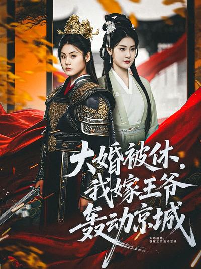 大婚被休我嫁王爷轰动京城