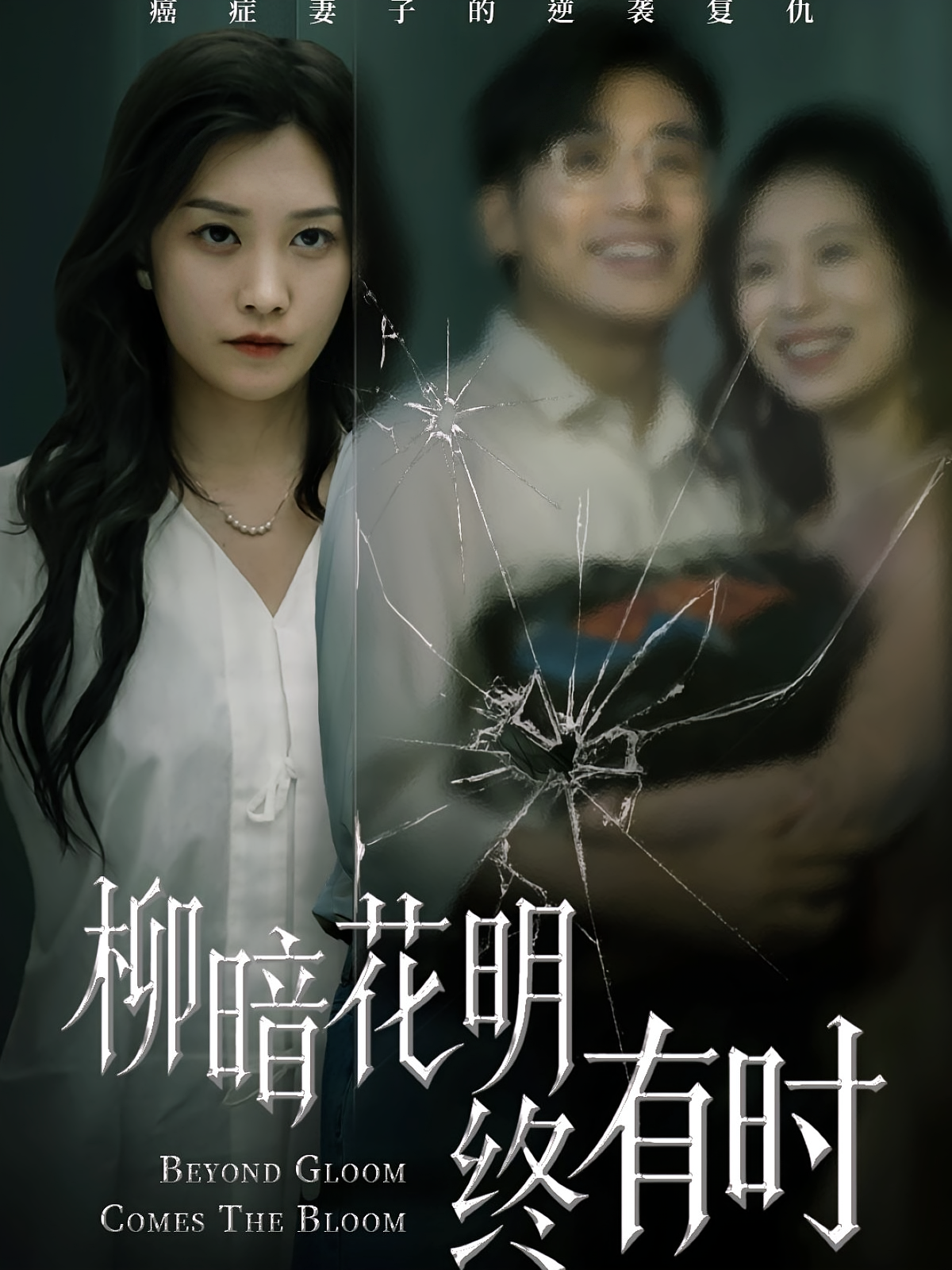 柳暗花明终有时 都市情感·女强·全50集 张宇翔&李沿熹&九卿