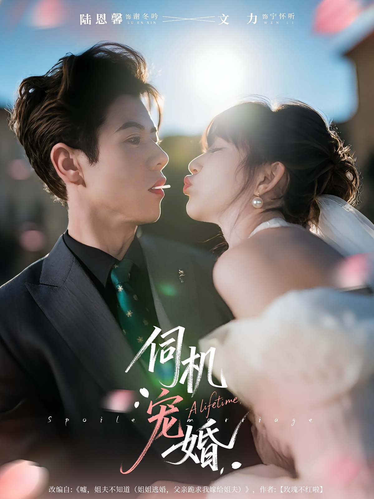 伺机宠婚 都市情感·总裁·全80集 文力&陆恩馨