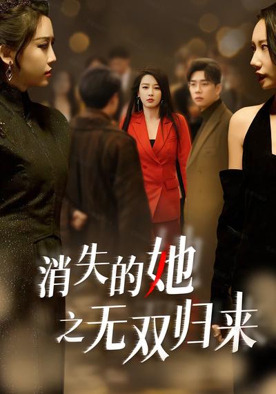 消失的她之无双归来封面图