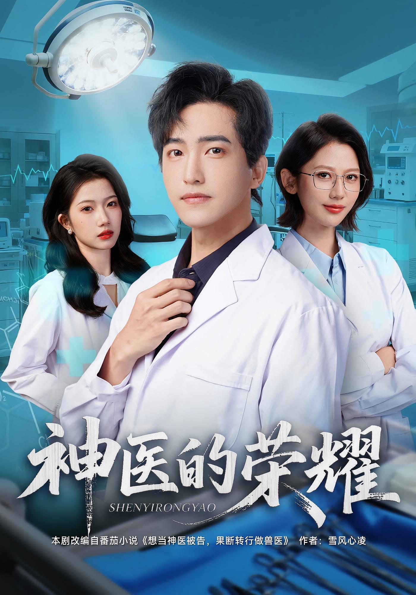 神医的荣耀 都市日常·穿越·职场 刘小龙&田佳一&张艺宸