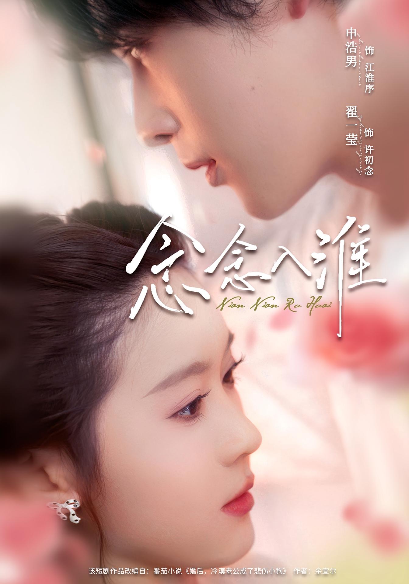 念念入淮 都市情感·都市·全74集 翟一莹&申浩男&王琦