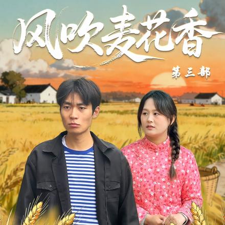 风吹麦花香第三部