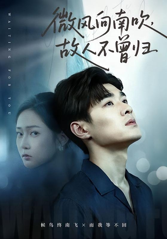 微风向南吹，故人不曾归 都市日常·都市·全72集 王悦洋&乔钰&易柏辰