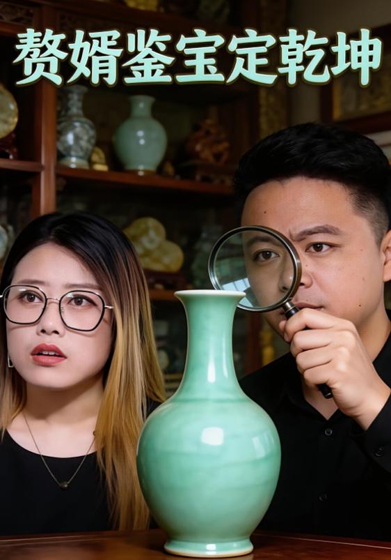 赘婿鉴宝定乾坤封面图