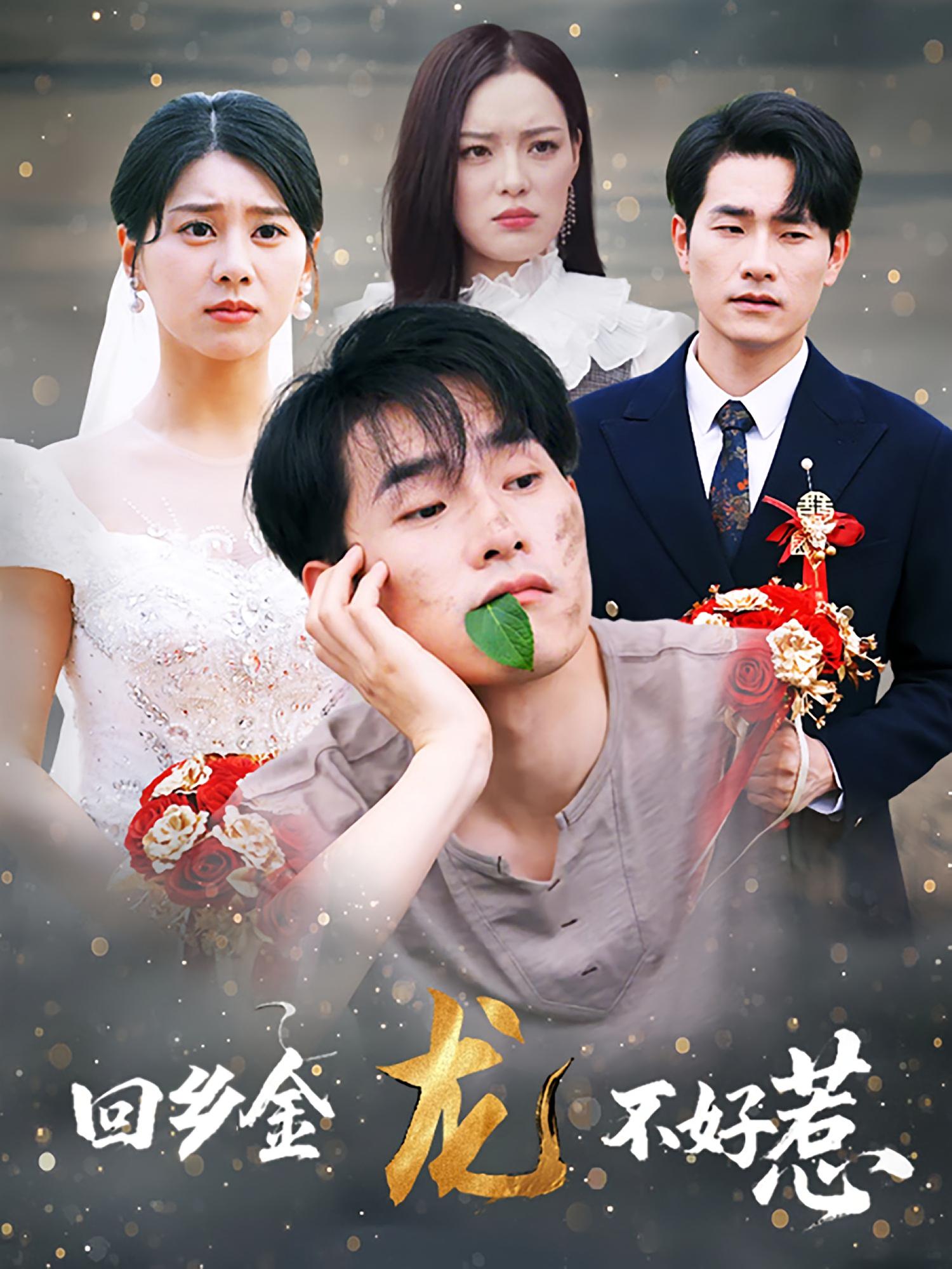 回乡金龙不好惹 都市日常·都市·全74集 薛海威&徐海文