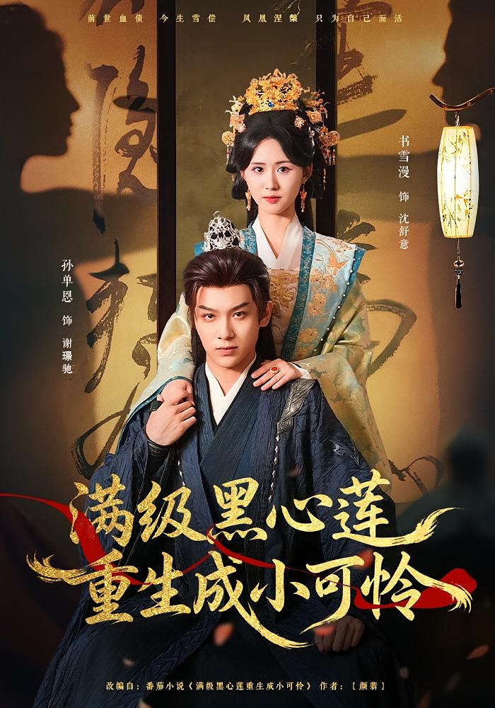 满级黑心莲重生成小可怜 宫斗宅斗·重生·全76集 书雪漫&孙单恩&李卓扬