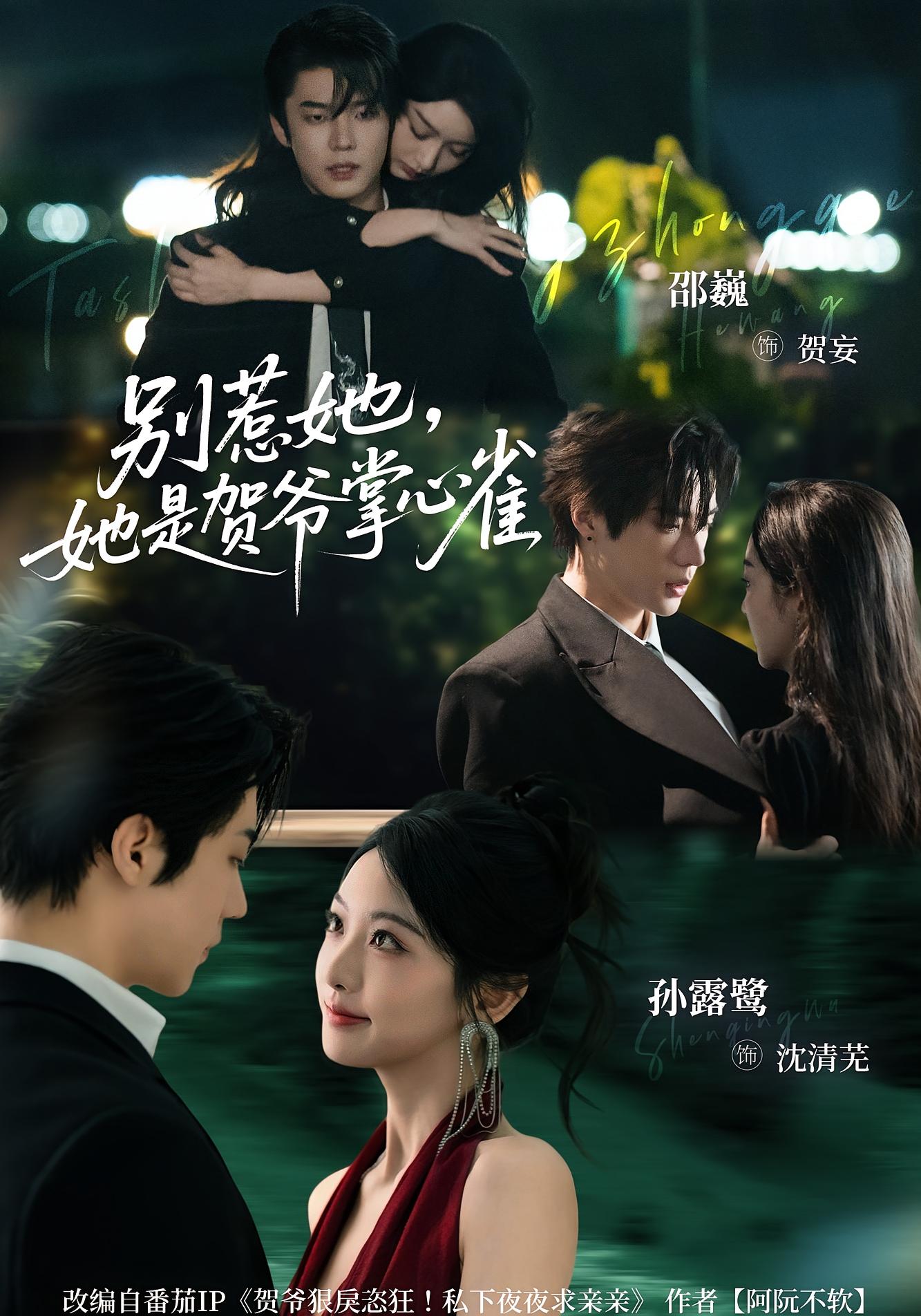 别惹她，她是贺爷掌心雀 都市情感·总裁·全69集 孙露鹭&邵巍&南桥