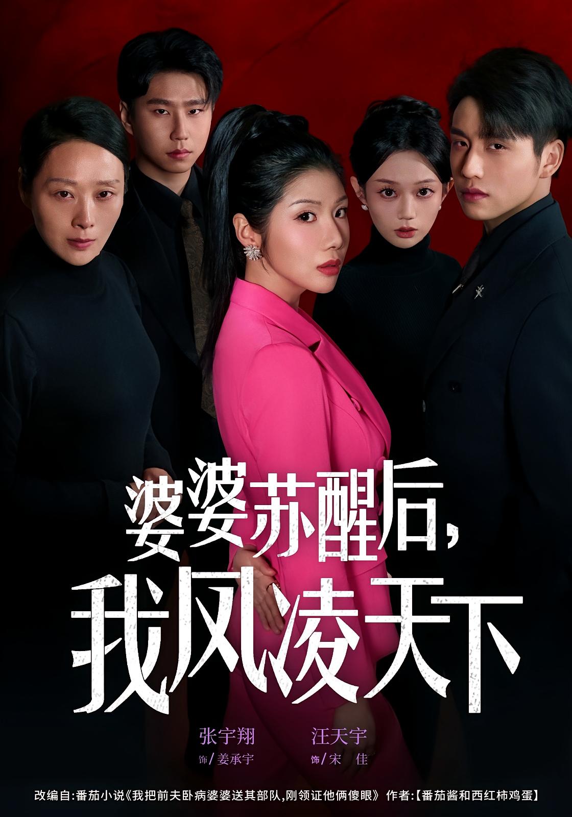 婆婆苏醒后，我凤凌天下 女性成长·都市·全60集 汪天予&张宇翔