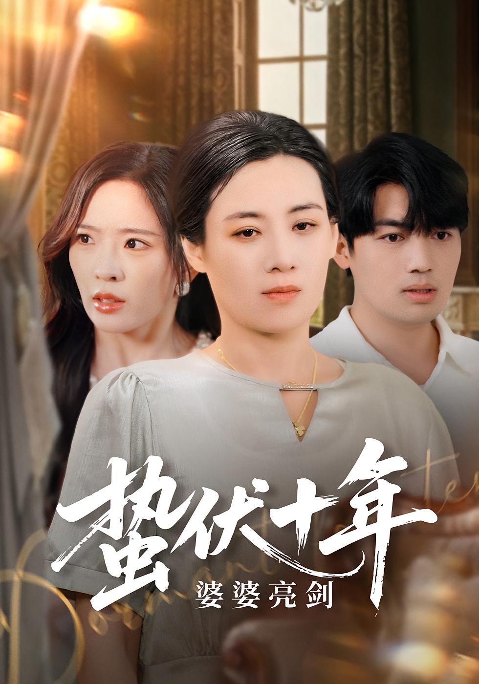 蛰伏十年婆婆亮剑 家庭伦理·都市·全45集 赵兰君&郭梓仪&姜莉