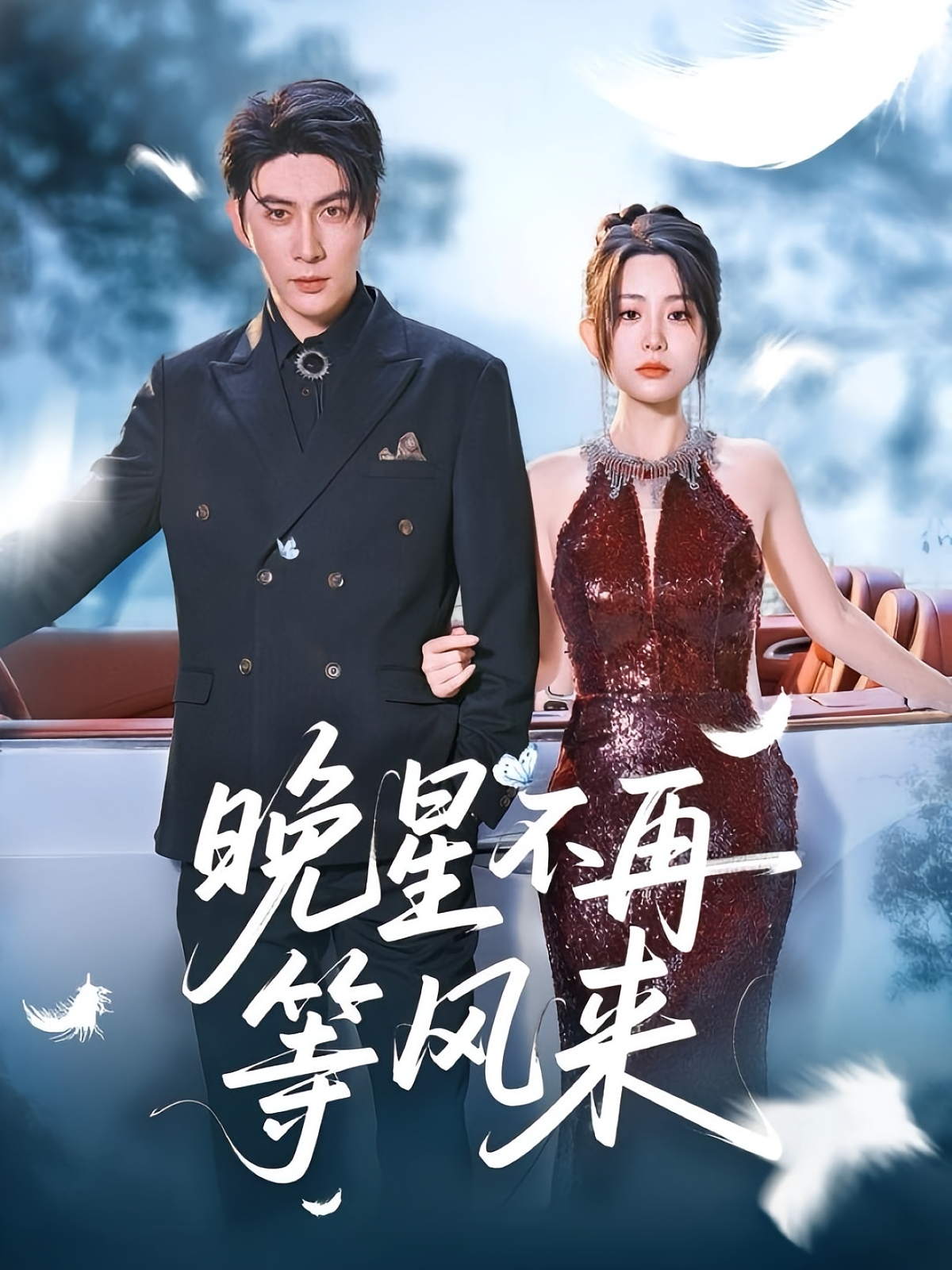 晚星不再等风来 都市情感·总裁·全65集 李智颖&王子林&尼诺