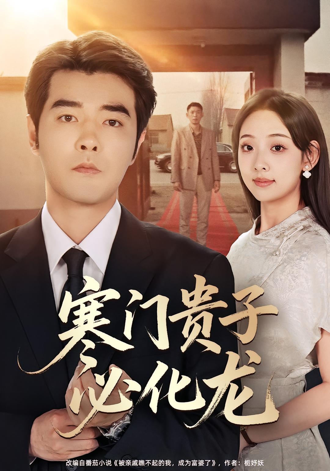 寒门贵子必化龙 都市日常·总裁·全41集 张子唯&董星辰&张若曦