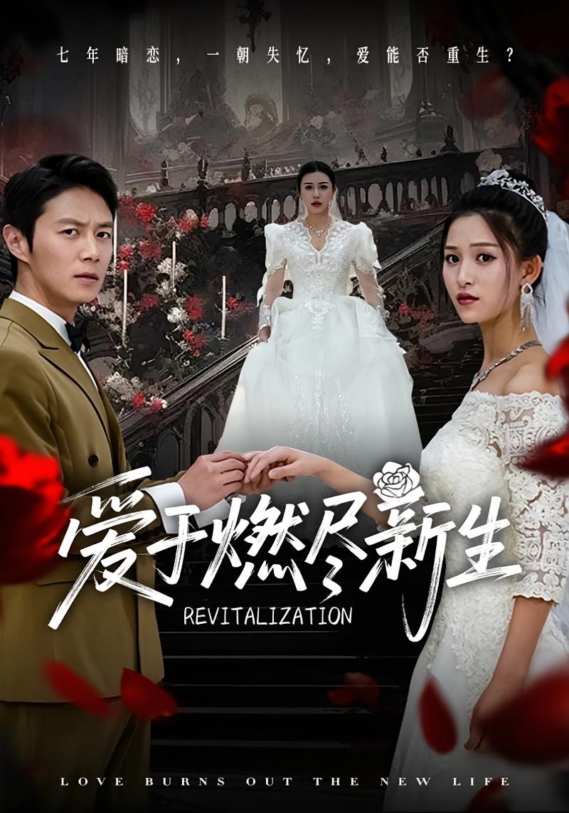 爱于燃尽新生 都市情感·都市·全49集 陈聿修&杨晰茹&顾沅真