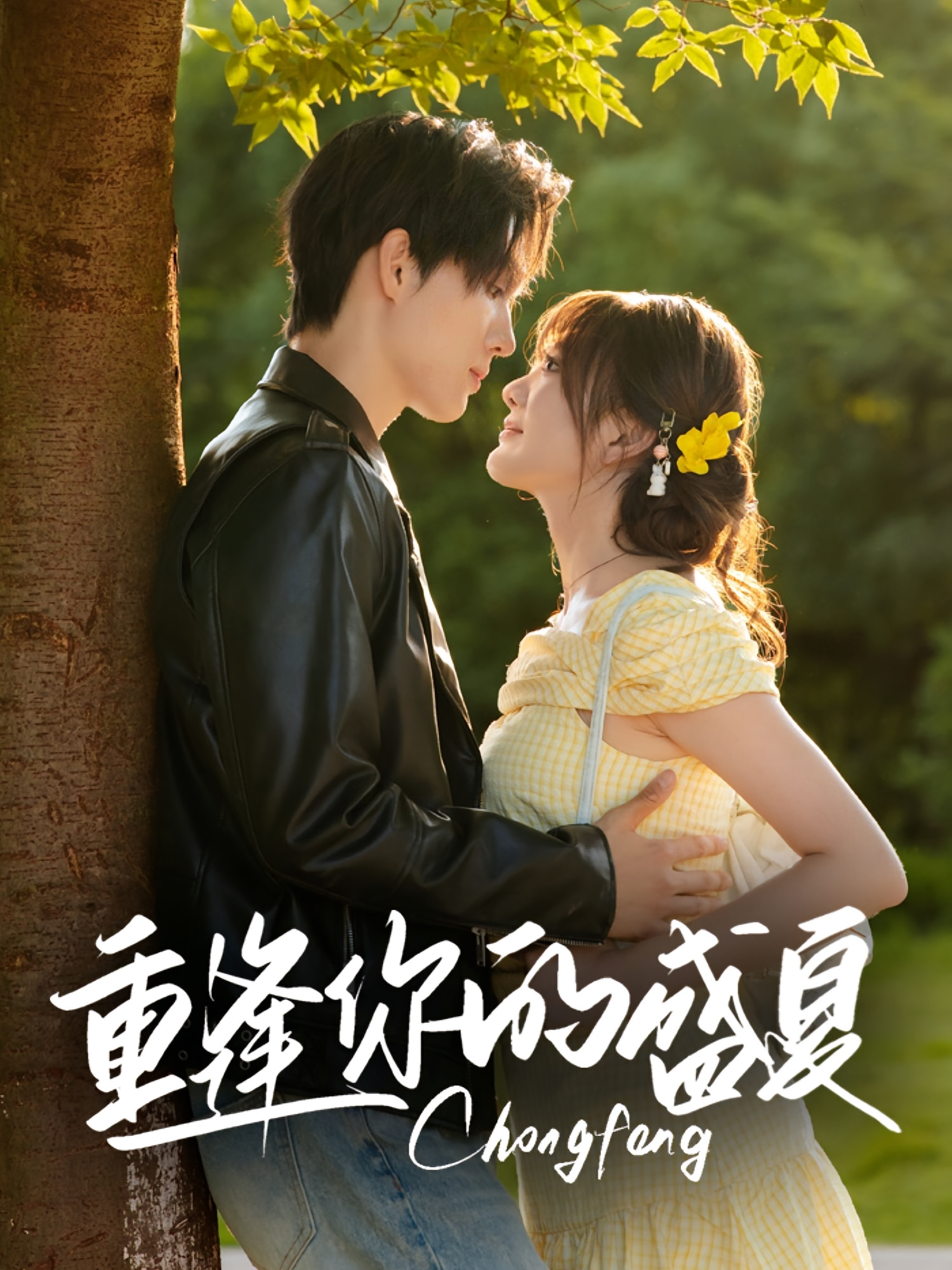 重逢你的盛夏 青春·都市·全66集 梁思伟&伍怡桥&胡杨