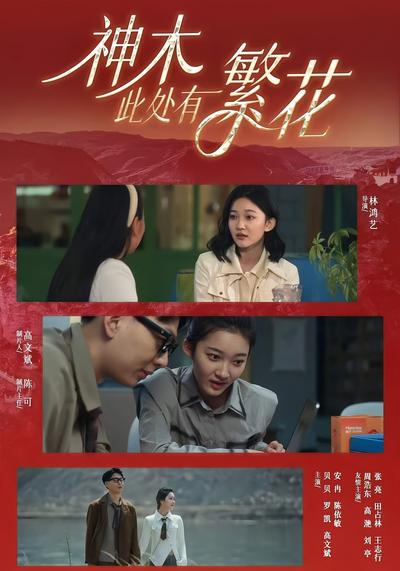 神木此处有繁花封面图