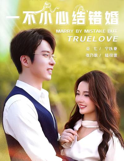 一不小心结错婚封面图