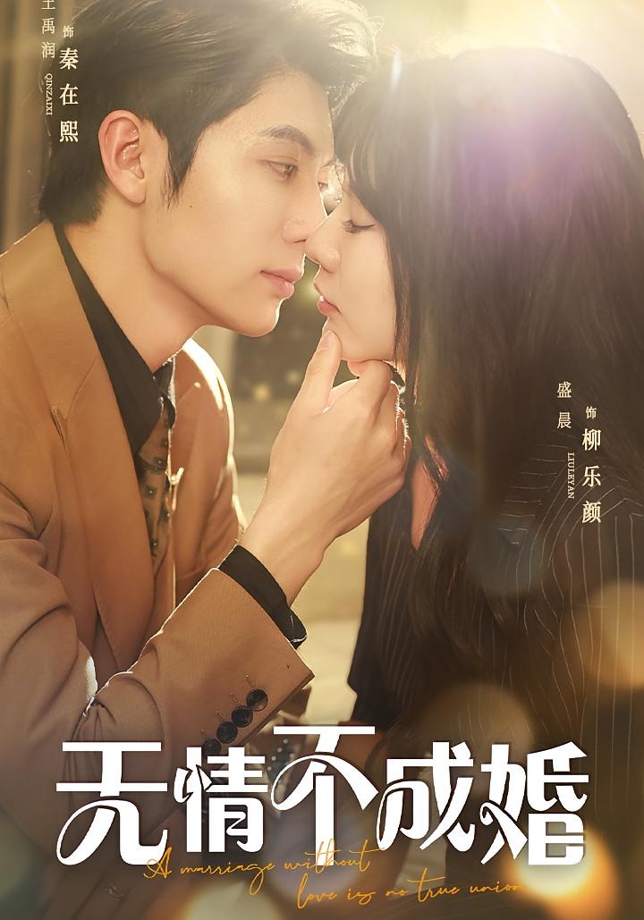 无情不成婚 都市情感·都市·全70集 盛晨&王子林&席嘟嘟