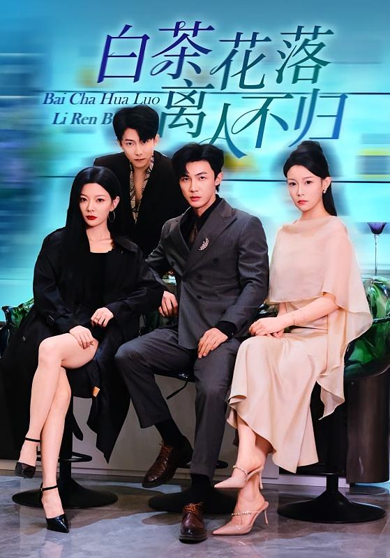 白茶花落离人不归 都市日常·总裁·全51集 清河&林初&张中宇