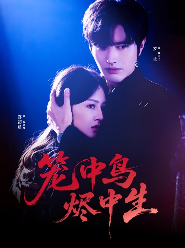 笼中鸟，烬中生 都市情感·都市·全60集 郑初晨&刘碑歌&罗正