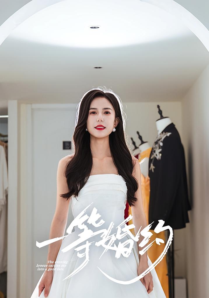 一等婚约 都市情感·总裁·马甲 张文慧&许愿&王文凯