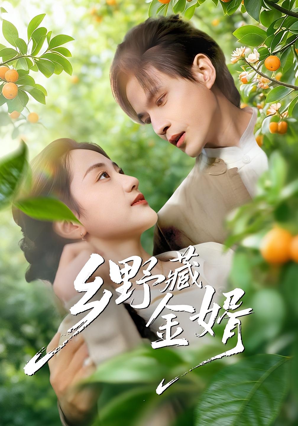 乡野藏金婿 都市情感·替嫁·全50集 冯琳玲&吴杰