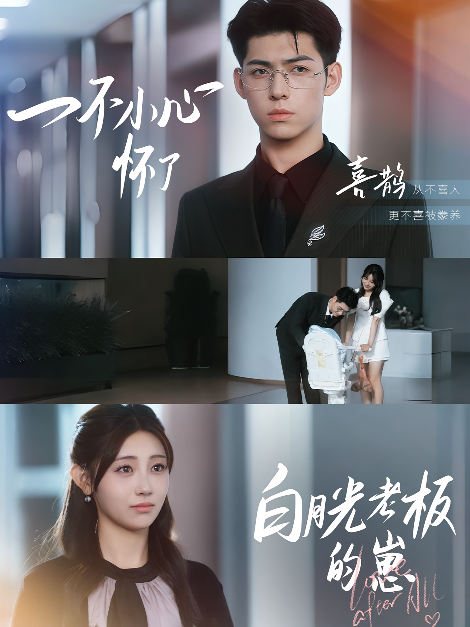 一不小心怀了白月光老板的崽 都市情感·总裁·全56集 王不凡&田园&黄甜