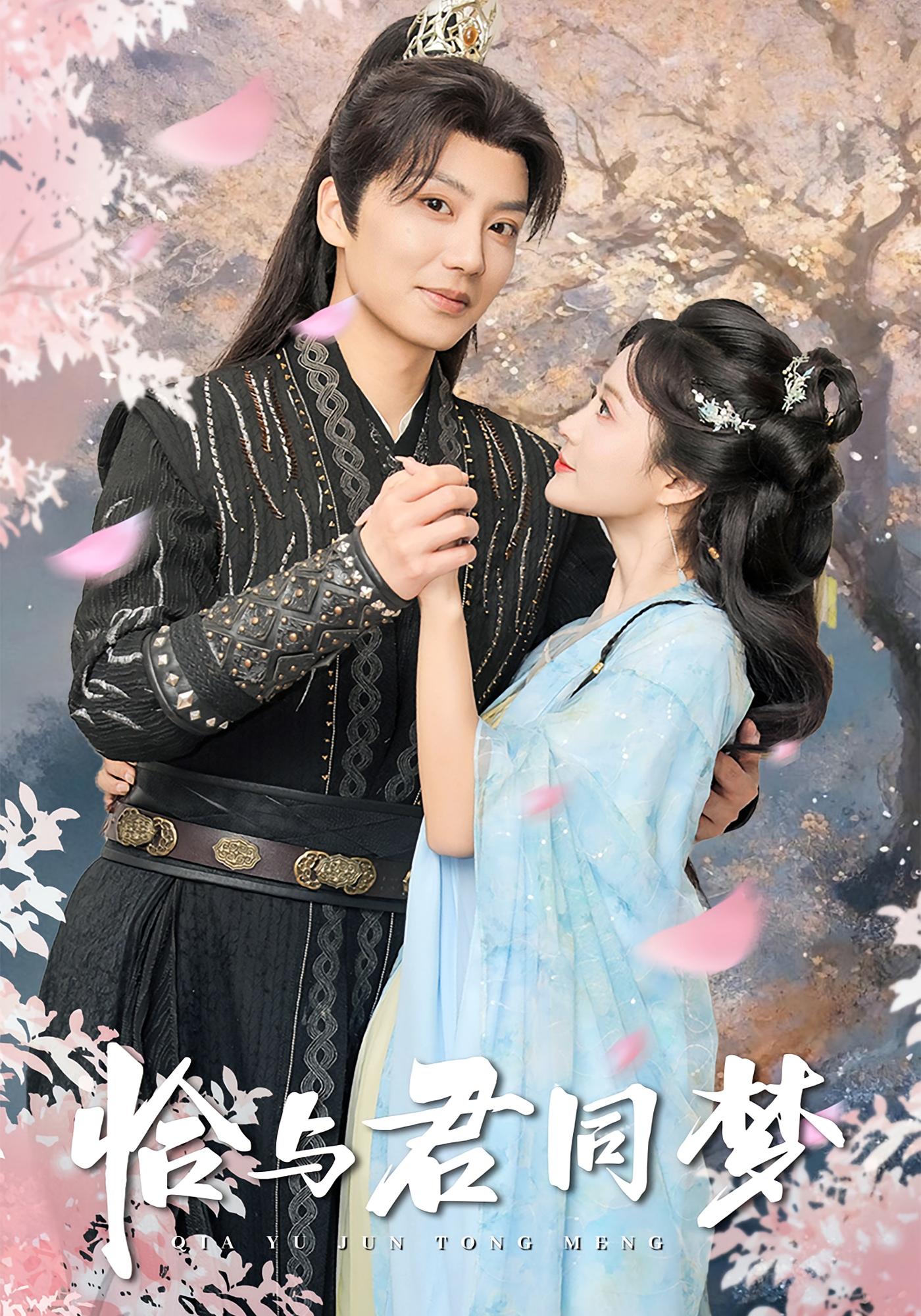 恰与君同梦 宫斗宅斗·穿越·全55集 唐书亚&刘美娜&叶一宁