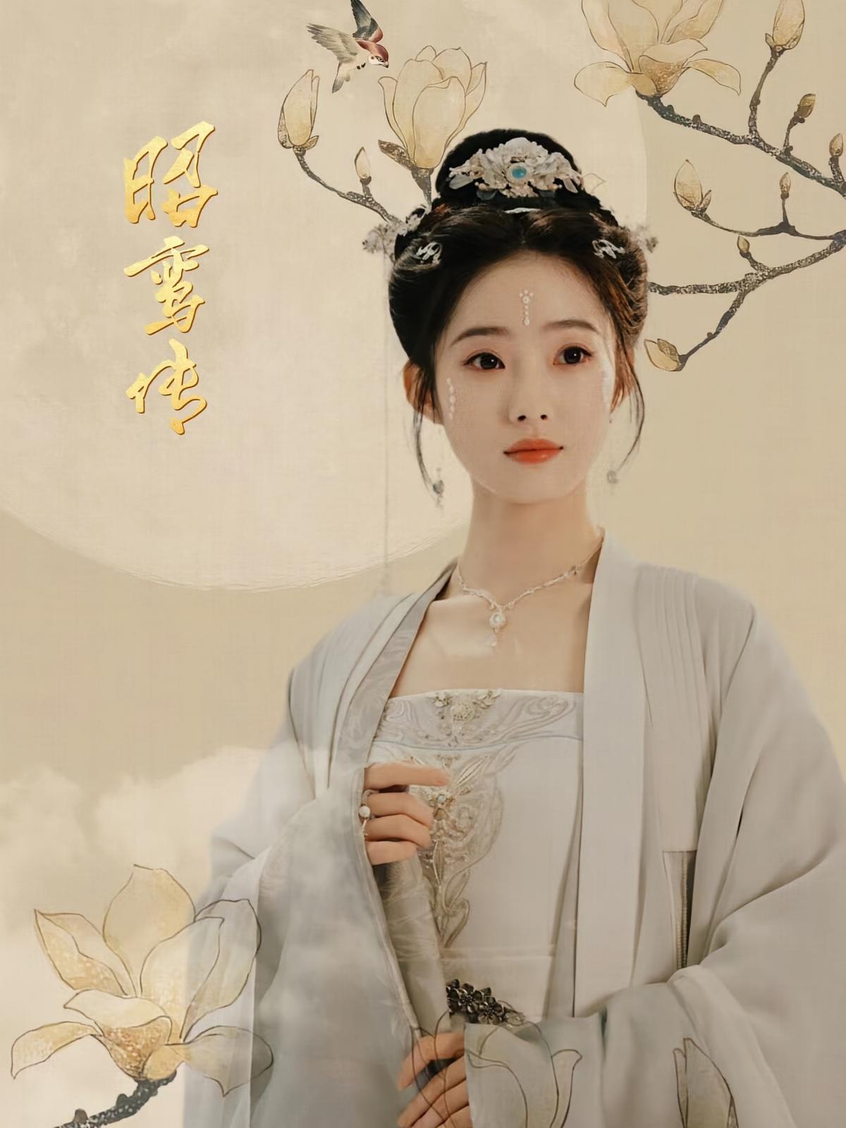 昭鸾传 宫斗宅斗·虐恋·全62集 林可汉&陆元