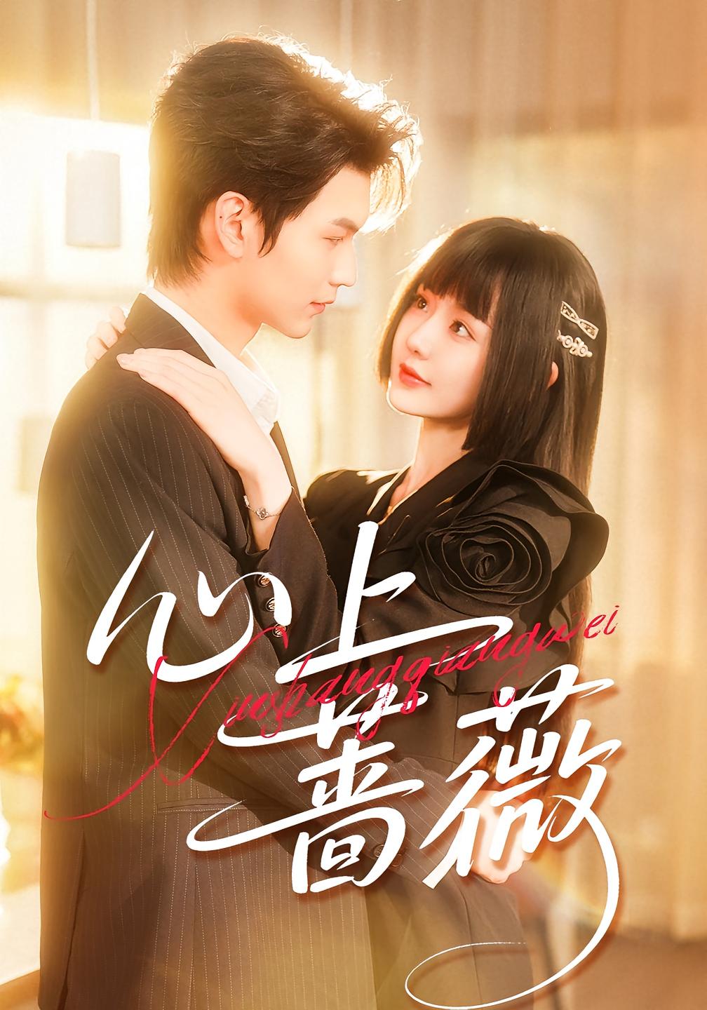 心上蔷薇 都市情感·都市·全100集 张嘉松&刘安歌&思思