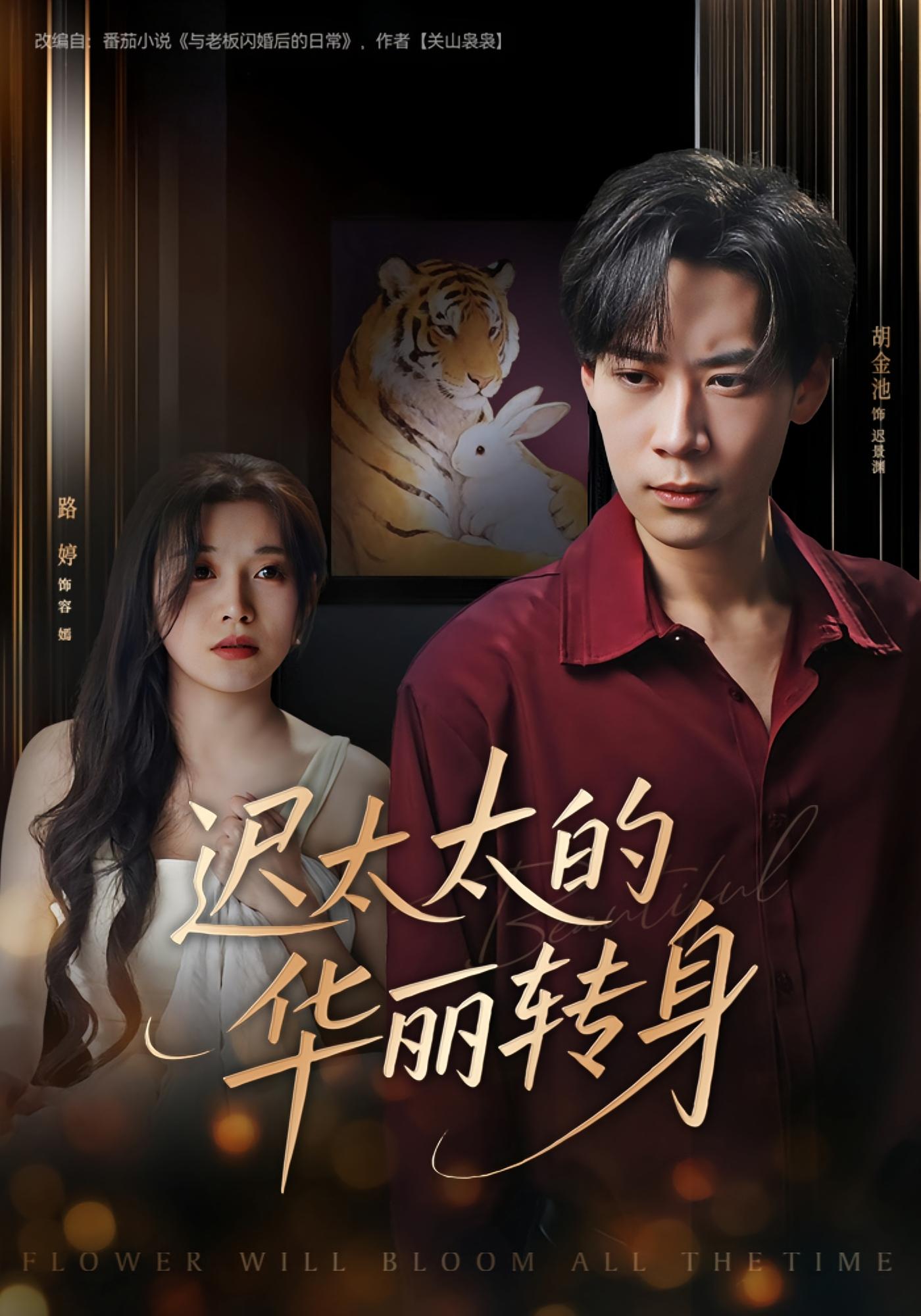 迟太太的华丽转身 都市情感·都市·全80集 胡金池&路婷