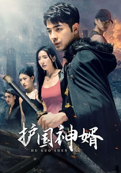护国神婿封面图