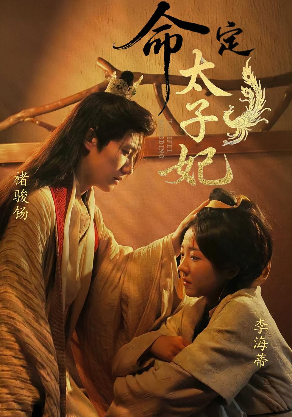 命定太子妃 古风言情·女强·全63集 李海蒂&秋红&贺舒凝