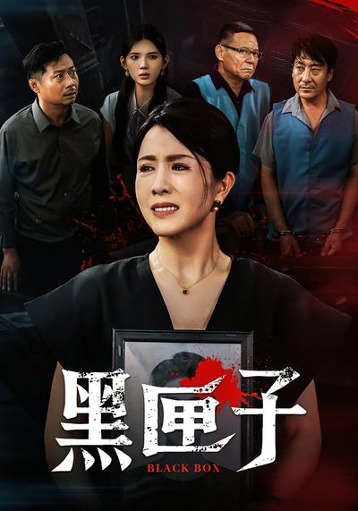 黑匣子封面图