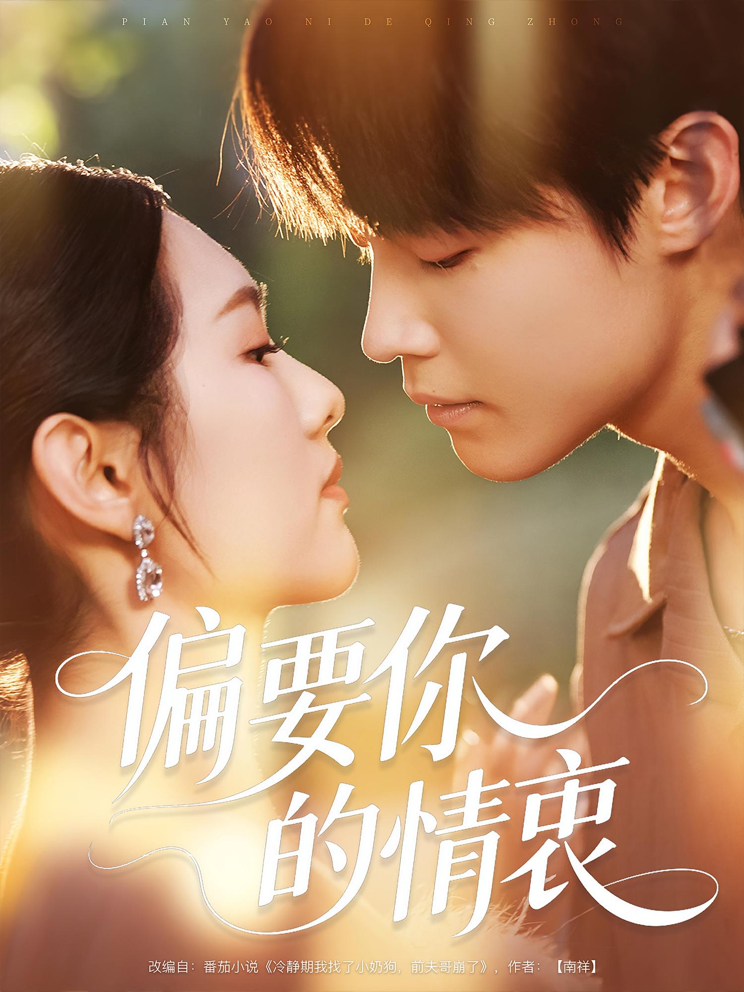 偏要你的情衷 都市情感·都市·全62集 朱哲人&李媛菁&王胤