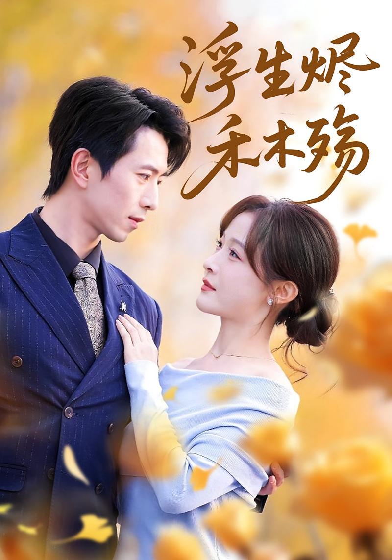 浮生烬，禾木殇 都市情感·追妻·全70集 白野&傅汉源&高馨萸