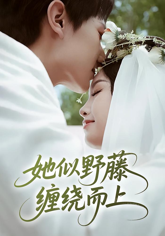 她似野藤，缠绕而上 女性成长·都市·全51集 李文茹&万烽