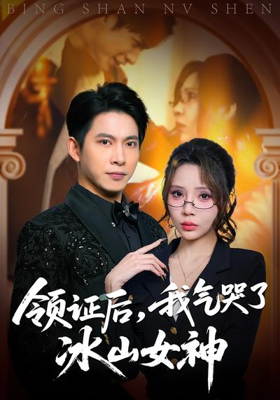 领证后我气哭了冰山女神