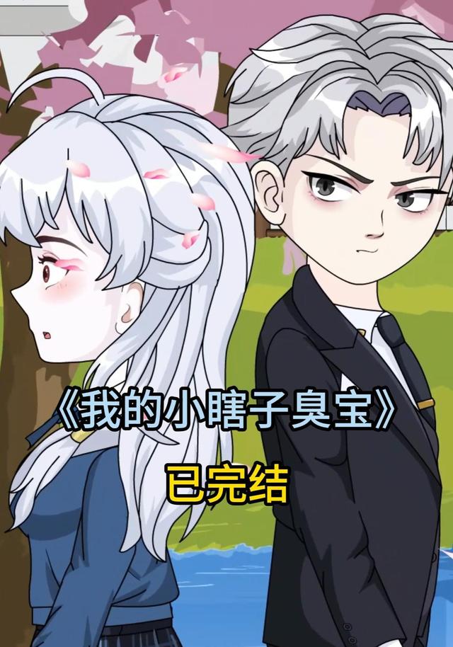 我的小瞎子臭宝封面图