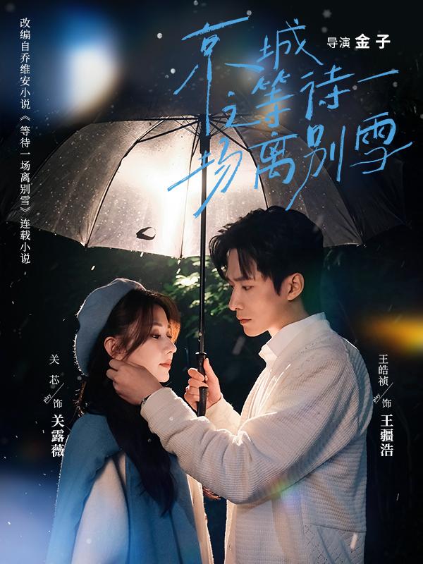 京城之等待一场离别雪封面图