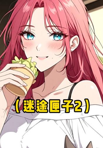 迷途匣子2封面图