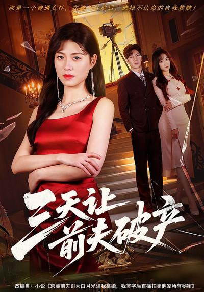 三天让前夫破产封面图