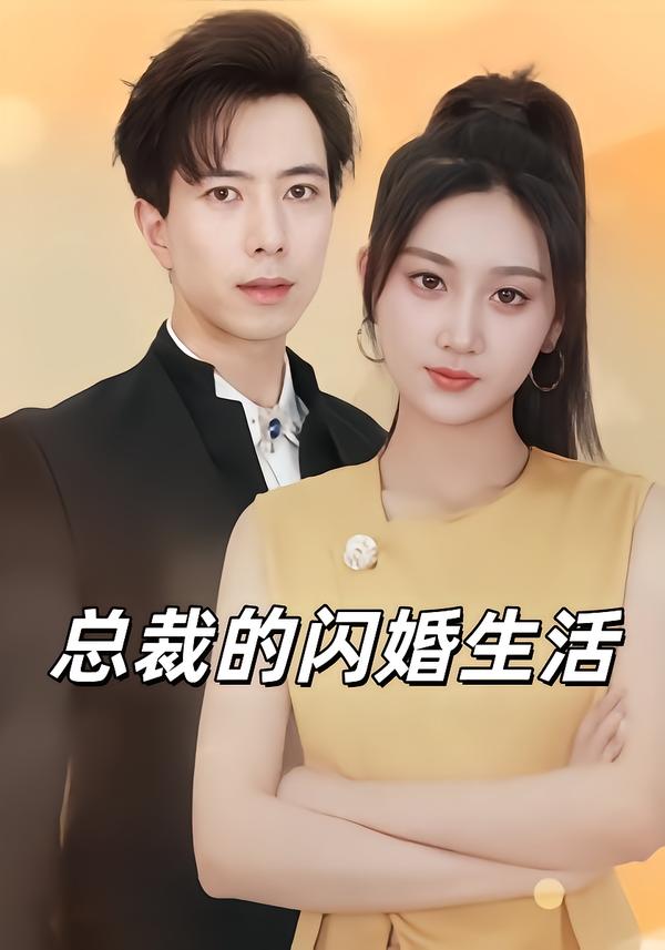 总裁的闪婚生活