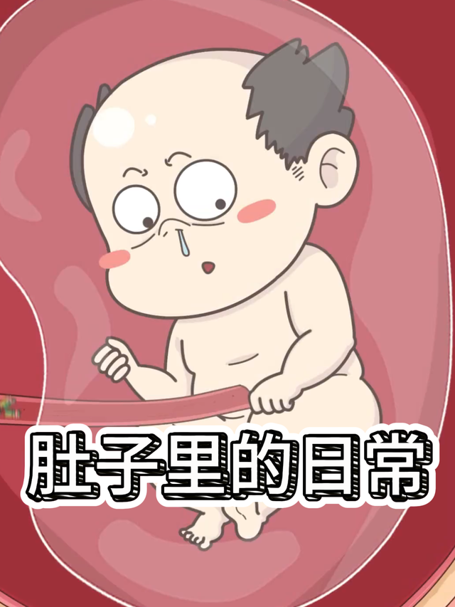 肚子里的日常